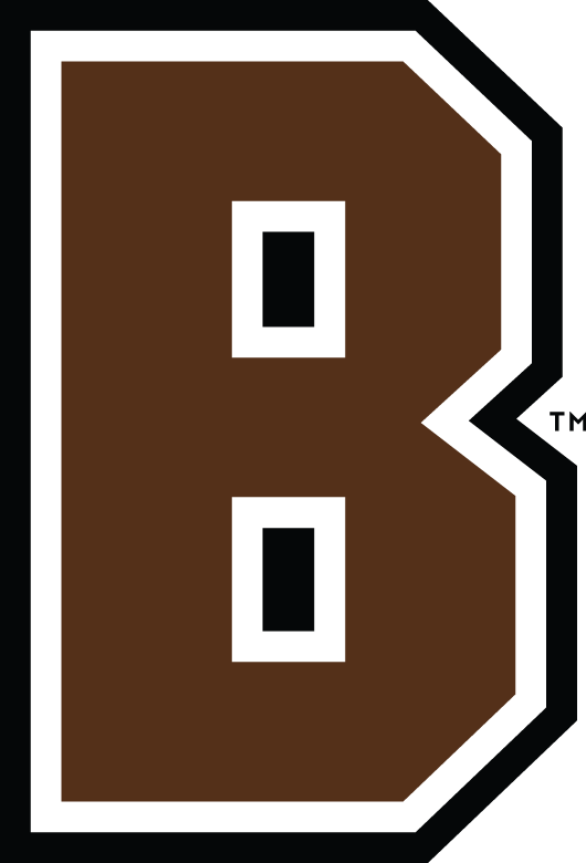 Brown Bears 2003-Pres Alternate Logo t shirts DIY iron ons v2
